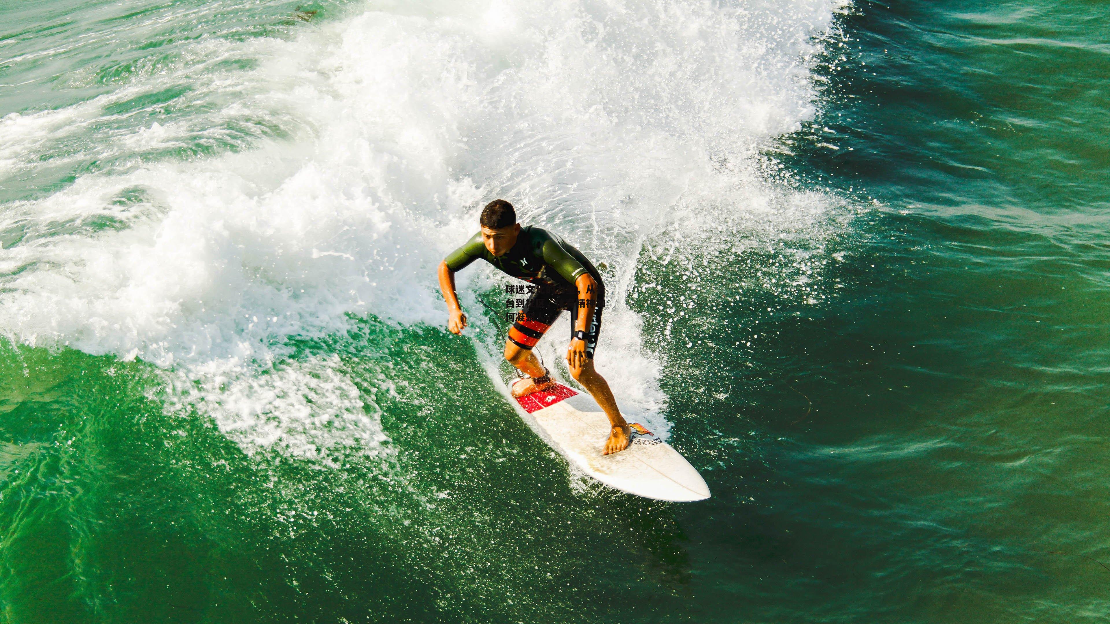 球迷文化的力量，从看台到社区，体育精神如何凝聚人心